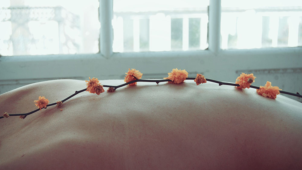 Productos Naturales para el Cuerpo