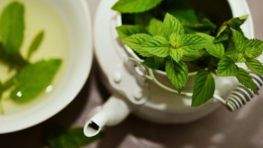 benefícios do chá Verde